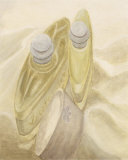 Bottles Prints by David Col