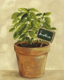 Basilcum Prints by Mar Alonso
