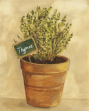 Thymus Posters par Mar Alonso
