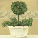 Green Plant in White Pot Láminas por Cuca Garcia