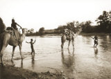 Men and Camels in River Láminas por Alexis de Vilar Men and Camels in River Láminas por Alexis de Vilar
