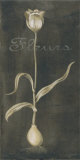 White Flower with Bulb Prints by Stela Klein