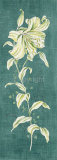 Teal Lily Art by Clare Lake