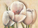 Tulipes Pastel Posters by Caroline Wenig