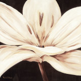 Extaordinaire Prints by Rian Withaar