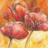 Summertime Prints by Dagmar Zupan
