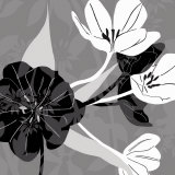 Monochrome Tulip Coll. Pósters por Kate Knight