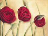 Blossoms Trio Prints by Caroline Wenig