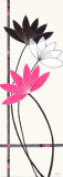 Fuchsia Lotus Flowers Pósters por Alan Buckle