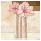 Amaryllis in Love Posters by Karsten Kirchner