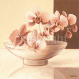 Bowl with Orchids Posters by Yves Blanc