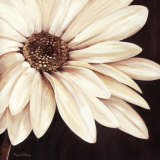 Belle de Nice Print by Rian Withaar