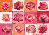 Perfume of Roses Prints by Anna Flores