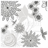 White Shadow  Lace Affiches par Kate Knight