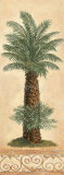 Island Palm Prints by Claudia Ancilotti