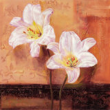 Bright Lilies Posters by Anna Gardner Bright Lilies Posters by Anna Gardner