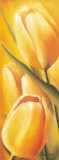 Tulipes de Soleil Prints by Valerie Delmas