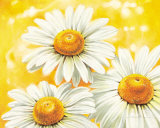 Shining Spring Art by Arkadiusz Warminski