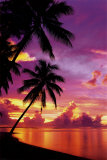 Tahitian Sunset Posters