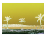Lemonscape Photographic Print by Florene 