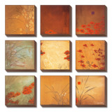 Neuf taches de couleur avec coquelicots Ensemble de toiles par Don Li-Leger