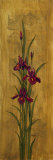 Iris of Delos II Lámina por Paul Brent Iris of Delos II Lámina por Paul Brent