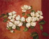 Dogwoods Print by Pamela Gladding