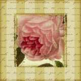 Rose and Romance II Posters by Pela Design Rose and Romance II Posters by Pela Design