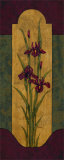 Greek Iris I Posters par Paul Brent