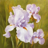 Spring Flair I Prints by Fasani 