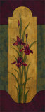 Greek Iris II Posters par Paul Brent