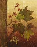 Maple Leaves Posters by Jillian Jeffrey
