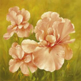 Summer Flair I Posters by Fasani Summer Flair I Posters by Fasani
