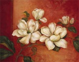 Magnolias Poster by Pamela Gladding