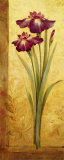 Grandiflora I Affiches par Pamela Gladding