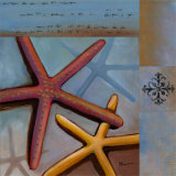 Sanibel Starfish Affiches par Paul Brent