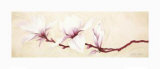 Magnolias II Prints by Elisabeth Verdonck Magnolias II Prints by Elisabeth Verdonck