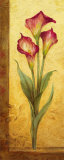 Grandiflora III Prints by Pamela Gladding Grandiflora III Prints by Pamela Gladding
