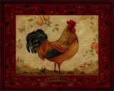 Gallo Dorato Prints by Pamela Gladding