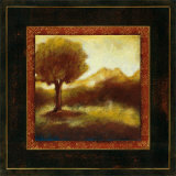 Timeless Light I Póster por Susan Osborne Timeless Light I Póster por Susan Osborne