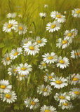Marguerite Posters by Fasani 