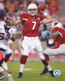 Matt Leinart Photo