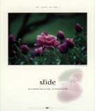 Slide Prints by Francis Pelletier