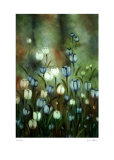 Blue and White Limited Edition by Lun Tse