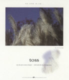 Toss Poster by Francis Pelletier