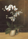 Tropic Orchids I Poster by Franz Heigl