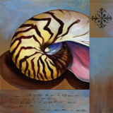 Sanibel Nautilus Pósters por Paul Brent