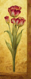 Grandiflora IV Posters by Pamela Gladding Grandiflora IV Posters by Pamela Gladding