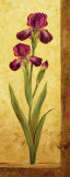 Grandiflora II Print by Pamela Gladding