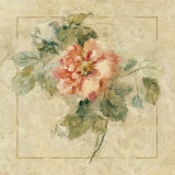 Provence Rose II Poster van Cheri Blum
